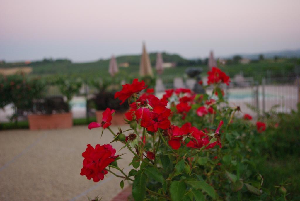 Naturalmente Wine Resort Agliano Terme Exterior foto