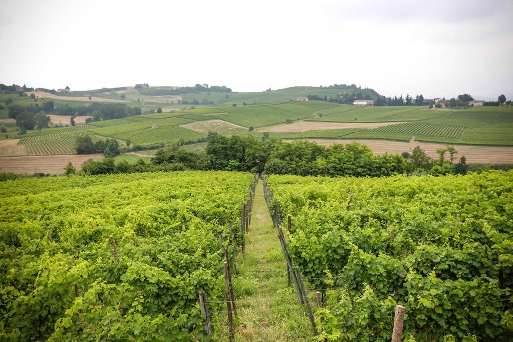 Naturalmente Wine Resort Agliano Terme Exterior foto