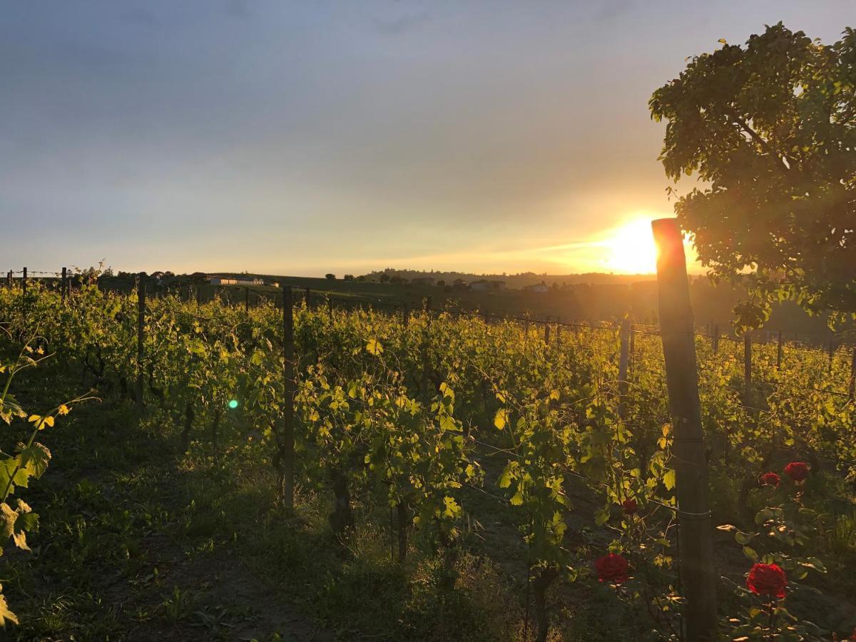 Naturalmente Wine Resort Agliano Terme Exterior foto